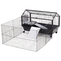 Guinea pig 2025 cage wayfair